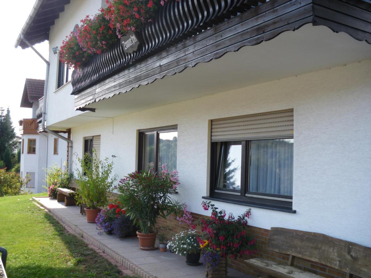 Pension Haus Ludwig Schotten Exterior foto